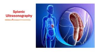 Spleen Ultrasonography [upl. by Aciamaj]