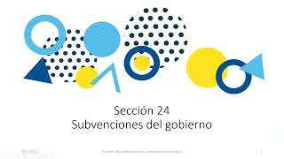 Sección 24 Subvenciones del gobierno NIIF PYME [upl. by Harrod]