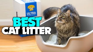 TOP 5 Best Cat Litter 2022  Our Top Picks [upl. by Sydney490]