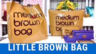 Little Brown Bag  Bloomingdales Zip Top Medium Brown Bag  Review and Comparison  PVC TOTE BAG [upl. by Liartnod245]