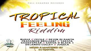 DJ KANTEL TROPICAL FEELING RIDDIM [upl. by Amikat]