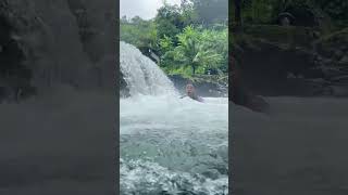 banaras selva turismo videoshort fly nature youtuber travel [upl. by Ahsinar]