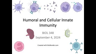 Immunology Fall 2024 Lecture 4 Humoral and Cellular Innate Immunity [upl. by Gothar563]