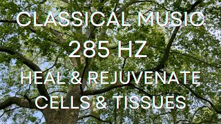 285Hz Chopin Nocturne in C sharp minor  Classical Music amp Solfeggio Frequency for Fast Healing [upl. by Eilerua]