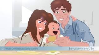 Surrogacy in the USA  How does international Surrogacy work [upl. by Neeneg962]