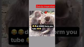 DrMBBS from YouTube  Monkey funny dubbing video funny shorts funnycomedy [upl. by Harve]