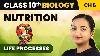 Class 10 Biology Chapter 6  Nutrition  Life Processes [upl. by Ryder396]