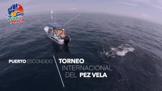 Torneo Internacional del Pez Vela 2016 Puerto Escondido Oaxaca [upl. by Noiro]