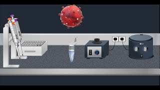 Coronavirus Test Real time RTPCR  Animation video [upl. by Concoff]