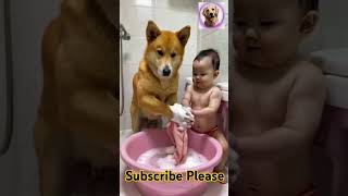 Hard working dog 🤣😜 dog rap music doglover love hancock rapthetruth dinojames yt trending [upl. by Tjon]