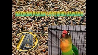 Cara Membuat Racikan Pakan Lovebird Paud  Ngekek Panjang  Tips trik [upl. by Harmon852]