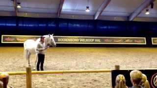 Clinic Frederic Pignon  Horse Event Deurne [upl. by Gisele766]