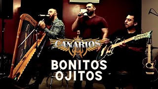 Canarios De Michoacan  Bonitos Ojitos En Vivo [upl. by Schwing238]