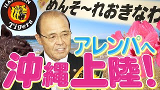 【沖縄上陸✈️】「今年の方が勝ちたい」決意の前日ミーティング。目指すはもちろんアレンパだ！阪神タイガース密着！応援番組「虎バン」ABCテレビ公式チャンネル [upl. by Busby]