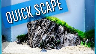 Quick Aquascape  Vik 10 Gallon Aquarium  Complete Build in Description [upl. by Koser]