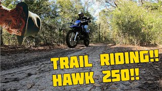 Hawk 250 Trail Riding [upl. by Nicks272]