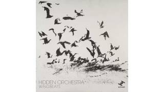 Hidden Orchestra  Wingbeats Source V Drums [upl. by Zeitler]