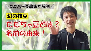 だだちゃ豆とは？だだちゃ豆の名前の由来などをだだちゃ豆農家が解説する！ [upl. by Beore]