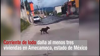 Corriente de lodo daña al menos tres viviendas en Amecameca [upl. by Tut]