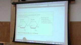 Carbohydrates Structure and Function by Kevin Ahern Part 4 of 6 [upl. by Vassily]