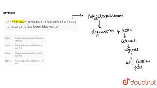 In \quotflacr savr\quot tomato expresssion of a native tomato gene has been blocked to [upl. by Saxela]