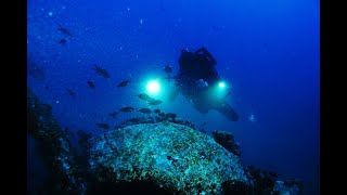 Carboneras Underwater Reserve Expedition  Cabo de Gata [upl. by Ahsiema861]