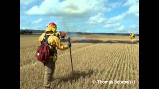 Brandbekämpfung mit Feuerpatschen [upl. by Shulock]