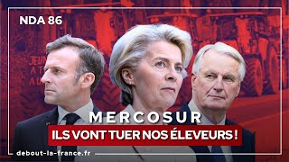 NDA86 · Mercosur  ils vont tuer nos éleveurs [upl. by Kelsy]