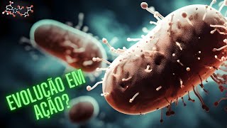 Como as bactérias se tornam resistentes aos antibióticos [upl. by Abas281]