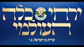 Melave Malka  Global Yarchei Kallah 5784 [upl. by Aeresed245]