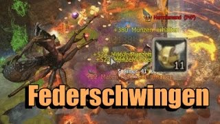 Die Federschwingen schwingen sich in mein Inventar  Arachna SOLO │ HerrN00bas Drakensang ONLINE [upl. by Notac527]