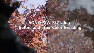 Sony PXWFS7 slog Before and after Color Greading4K UHD 60fps CINEMATIC [upl. by Esinet]