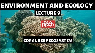 Coral Reef Ecosystem Explained  UPSC Preparation  Types Importance and Conservation Efforts [upl. by Aneehta]