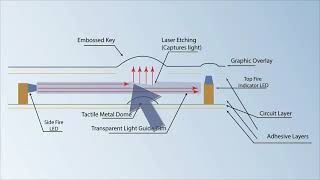 What is LED Light Guide Film LGF Explained  RSP [upl. by Anpas]