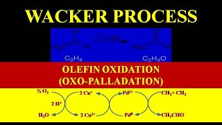 Wacker process  Olefin Oxidation  OxoPalladation  Mechanism Description [upl. by Schulein]