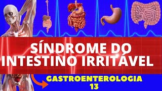 SÍNDROME DO INTESTINO IRRITÁVEL CAUSAS SINTOMAS DIAGNÓSTICO E TRATAMENTO  GASTROENTEROLOGIA [upl. by Marne915]