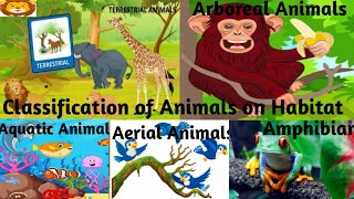 Classification of Animals based on HabitatTerrestrial Aquatic AmphibiansArborealAerialAnimals [upl. by Rebekkah]