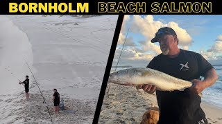 Australian Salmon Fishing  Bornholm Beach South WA  Hardest 4x4 Beach track [upl. by Nannahs]