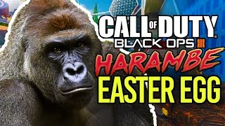 BLACK OPS 3 HARAMBE EASTER EGG [upl. by Lazarus606]