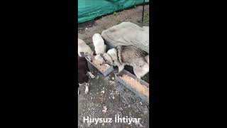 HAYAT PAYLAŞINCA GÜZEL 🥰🥰🥰 SİZ AÇLIK NEDİR BİLİR MİSİNİZ [upl. by Atiruam900]