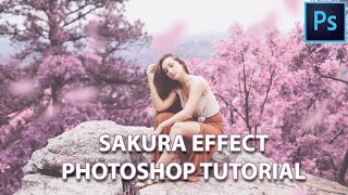 How To Create Sakura Colour Effect  Photoshop Tutorial [upl. by Ami]