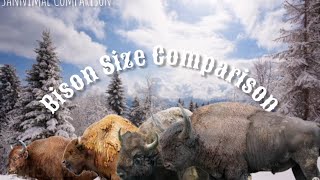 Bison Size ComparisonLivingampExtinct THE LAST REMAKES VIDEO [upl. by Ecyaj]