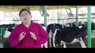 Best cattle feed in India [upl. by Pedrick]