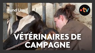 Rumipassion un service vétérinaire de campagne [upl. by Dyraj]