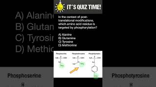 Phosphorylation of Amino acids [upl. by Ovatsug]