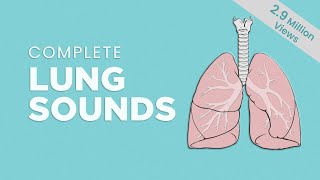 Complete Breath sounds NormalAbnormal Lung Sounds Types amp Conditions [upl. by Ethelind812]