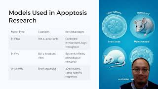 Apoptosis Explained The Science of Programmed Cell Death [upl. by Kristine950]