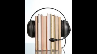 Wall Street AudioBook [upl. by Ettari599]