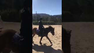 My lesson flatwork part 2 [upl. by Oiramed433]