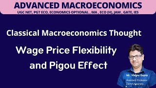 wage price flexibility  pigous wage cut theory  pigou effect  classical macroeconomics [upl. by Charlena366]